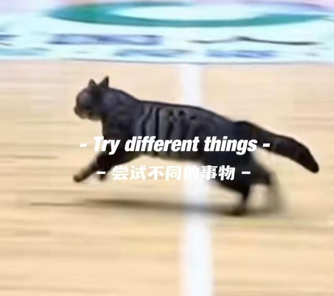 壹号娱乐下载-猫猫也想打球，广东四川CBA比赛中场地内跑进一只小猫